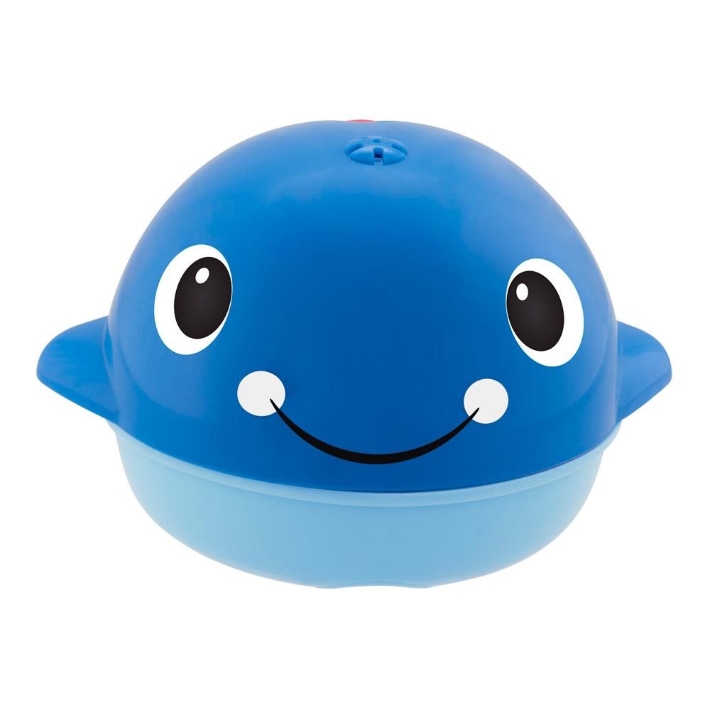 chicco bath toy