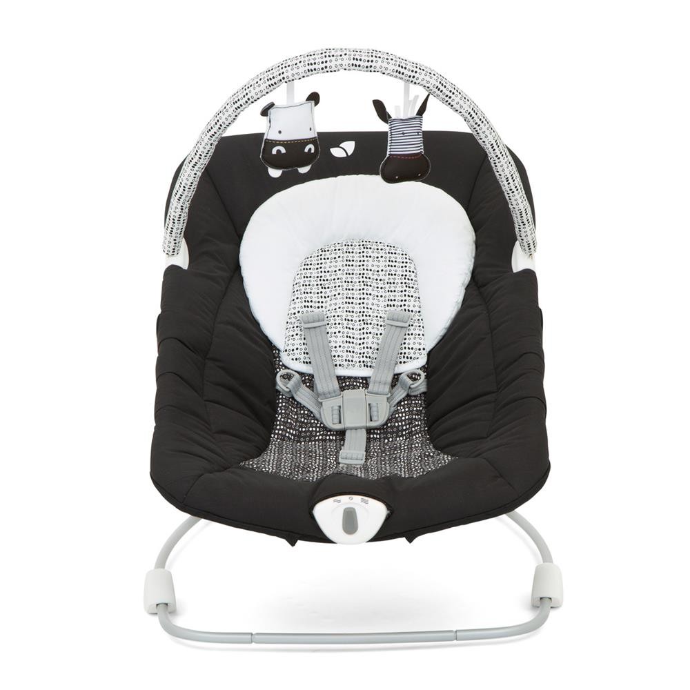 Joie Wish Bouncer with vibration